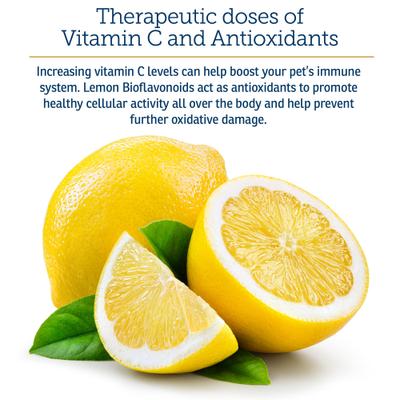 Bio-C Powder Immune Supplement for Cats & Dogs, 4-oz bottle