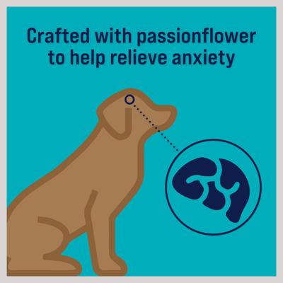 Zen Beef & Pumpkin Recipe Grain-Free Freeze-Dried Dog Treat, 4-oz bag