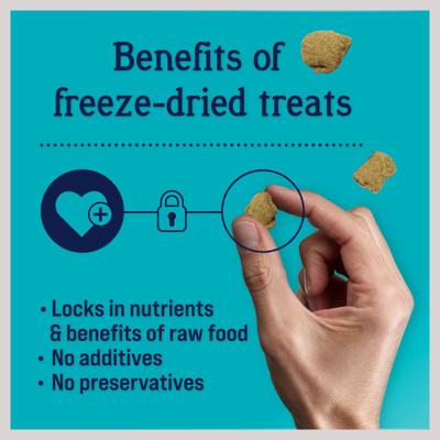 Zen Beef & Pumpkin Recipe Grain-Free Freeze-Dried Dog Treat, 4-oz bag