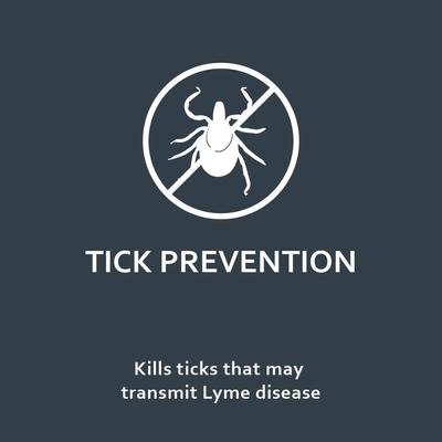 Tratamiento localizado FiproGuard contra pulgas y garrapatas para gatos, 6 dosis (suministro para 6 meses)