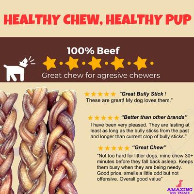 6-inch Braided Bully Stick Dog Treats, 5 count
