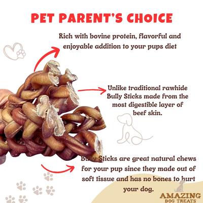 6-inch Braided Bully Stick Dog Treats, 5 count