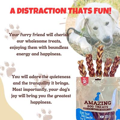 6-inch Braided Bully Stick Dog Treats, 5 count