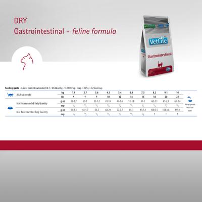 Gastrointestinal Feline Dry Cat Food, 11-lb bag