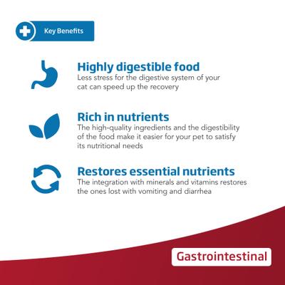 Gastrointestinal Feline Dry Cat Food, 11-lb bag