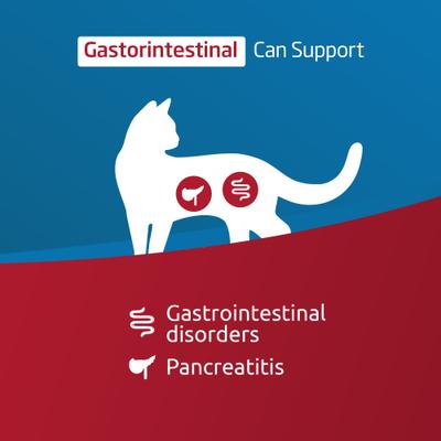 Gastrointestinal Feline Dry Cat Food, 11-lb bag