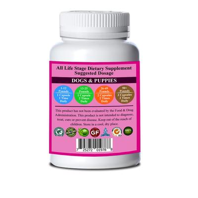 Get Well Soon Dog Supplement, 90 count