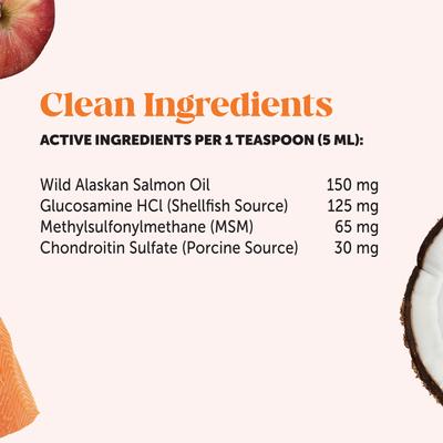 Glucosamine + Salmon Oil Turkey Flavored Joint Support Liquid Supplement for Dogs, 12-fl oz bottle