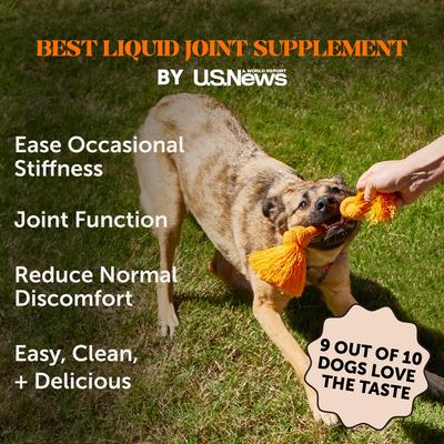 Glucosamine + Salmon Oil Turkey Flavored Joint Support Liquid Supplement for Dogs, 12-fl oz bottle