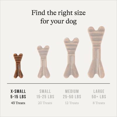 Grain-Free Extra-Small Dental Dog Treats Mint Flavor, 43 count