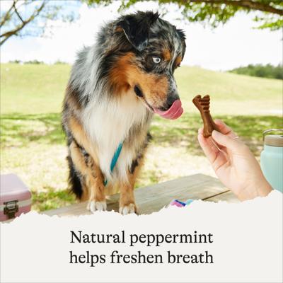 Grain-Free Extra-Small Dental Dog Treats Mint Flavor, 43 count