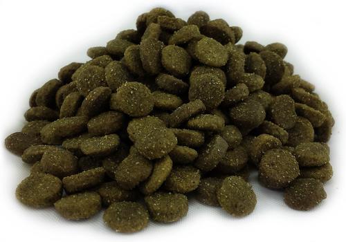 Limited Ingredient Diet Wild Ocean Holistic Entrée All Life Stages Grain-Free Dry Dog Food, 11-lb bag