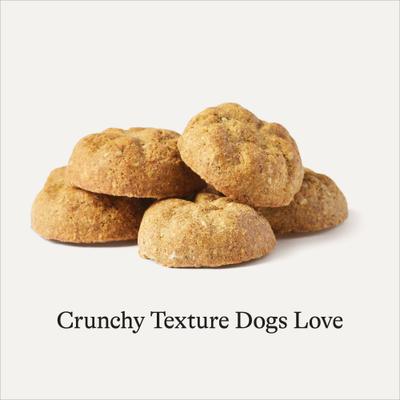 Duck Recipe Grain-Free Oven Baked Crunchy Biscuit Dog Treats, 16-oz bag
