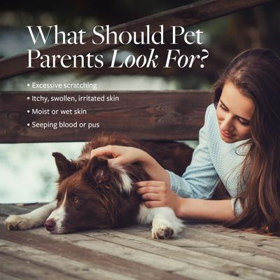 Hot Spot & Itch Relief Medicated Shampoo, 16-fl oz bottle