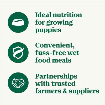 Puppy Tender Beef, Pea & Carrot Recipe Bites In Gravy Grain-Free Wet Dog Food, 3.5-oz, case of 24