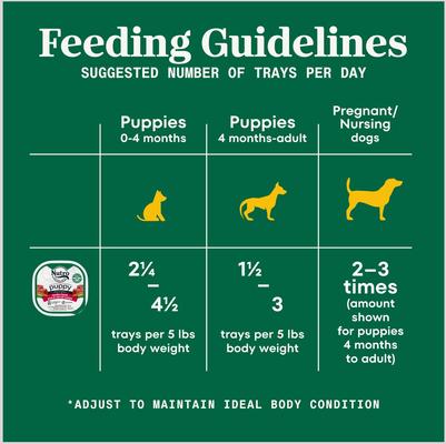 Puppy Tender Beef, Pea & Carrot Recipe Bites In Gravy Grain-Free Wet Dog Food, 3.5-oz, case of 24