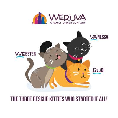 Cats in the Kitchen Word From The Bird Variety Pack Wet Cat Food, 6.0-oz can, case of 12