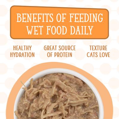 Cats in the Kitchen Word From The Bird Variety Pack Wet Cat Food, 6.0-oz can, case of 12