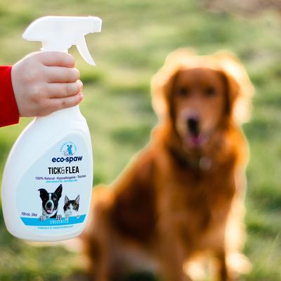 Spray antipulgas y garrapatas sin perfume para perros y gatos, botella de 24 onzas líquidas