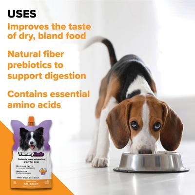 YummyRade Prebiotic Gravy Meal Enhancer Digestive Supplement for Dogs, 250-mL pouch, pack of 3