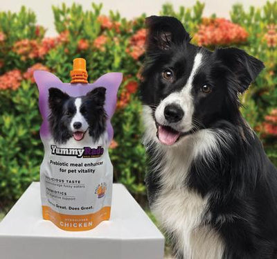 YummyRade Prebiotic Gravy Meal Enhancer Digestive Supplement for Dogs, 250-mL pouch, pack of 3