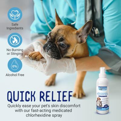 Chlorhexidine & Ketoconazole Scent Dog, Cat & Small Pet Spray, 8-fl oz bottle