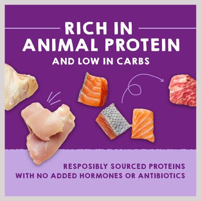 Comida para gatos Carnivore Cravings Savory Shreds Variety Pack, lata de 2.8 oz, caja de 12