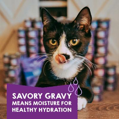 Comida para gatos Carnivore Cravings Savory Shreds Variety Pack, lata de 2.8 oz, caja de 12