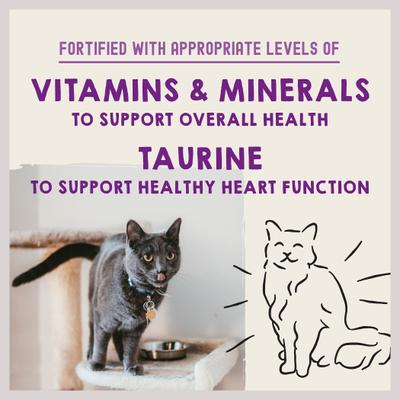 Comida para gatos Carnivore Cravings Savory Shreds Variety Pack, lata de 2.8 oz, caja de 12