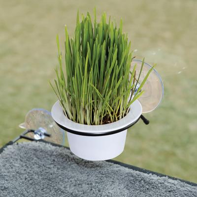 EZ Mount Window Cat Grass Grow Station, White