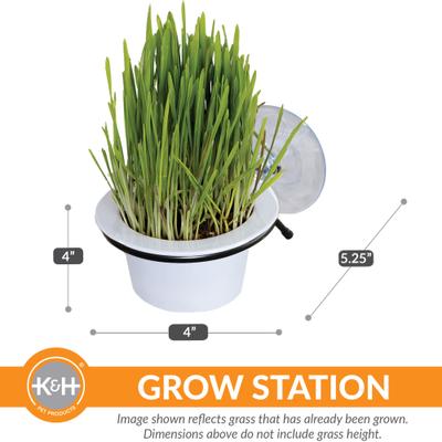 EZ Mount Window Cat Grass Grow Station, White