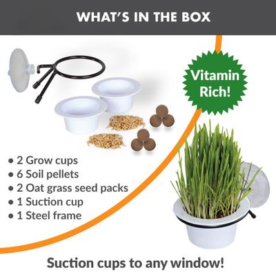 EZ Mount Window Cat Grass Grow Station, White