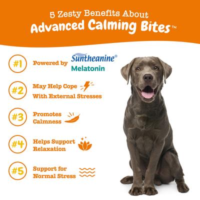 Advanced Hemp Melatonin Calming Bites Turkey Flavored Soft Chews Composure Supplement for Dogs, 90 count