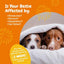 Advanced Calming Bites Behavior, Melatonina y Hemp, sabor Pavo, para Perro. 3 opc