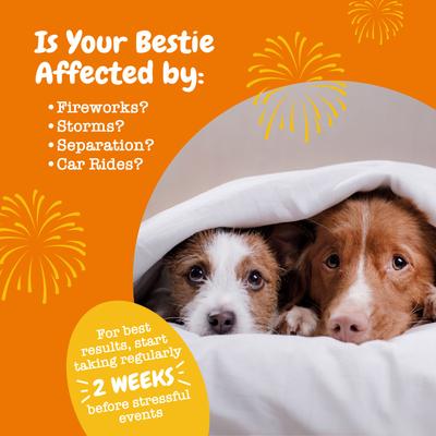 Advanced Calming Bites Behavior, Melatonina y Hemp, sabor Pavo, para Perro. 3 opc