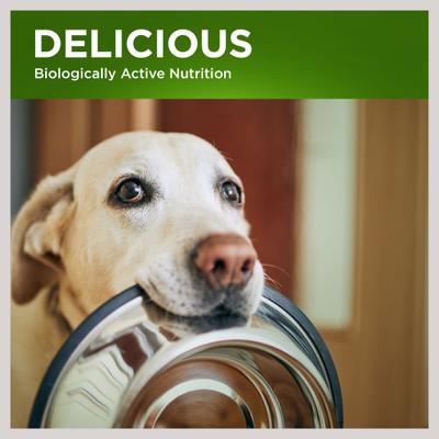 Switch Pet Food Transition Dog & Cat Supplement, 15-oz, case of 12