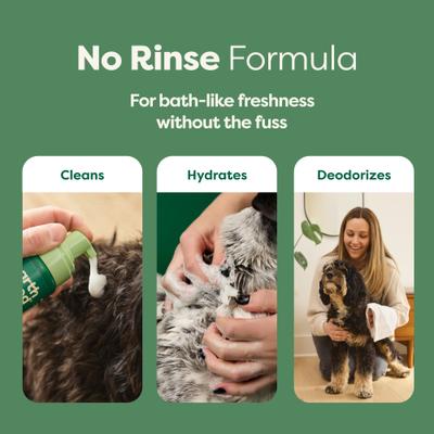 No-Rinse Foaming Dog Shampoo, White Tea & Basil Scent, 7-fl oz bottle