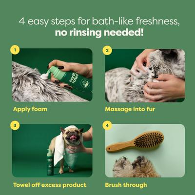 No-Rinse Foaming Dog Shampoo, White Tea & Basil Scent, 7-fl oz bottle