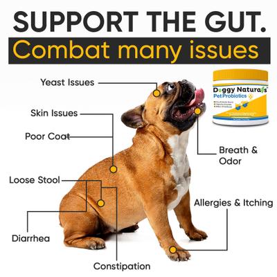 Probiotics Advanced Max-Strength Cat & Dog Digestive Supplement, 7.4-oz bag