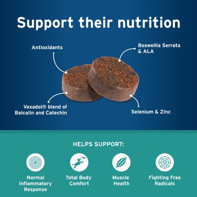 Alenza Body Comfort+ Chicken Flavored Soft Chew Supplement for Active & Aging Dogs, 60 count