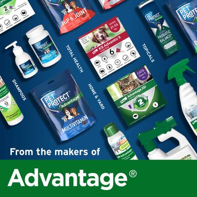 Alenza Body Comfort+ Chicken Flavored Soft Chew Supplement for Active & Aging Dogs, 60 count