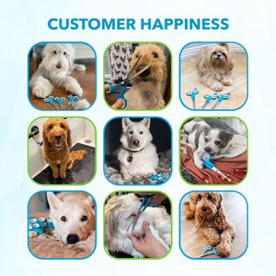 Dog Grooming Scissors Set