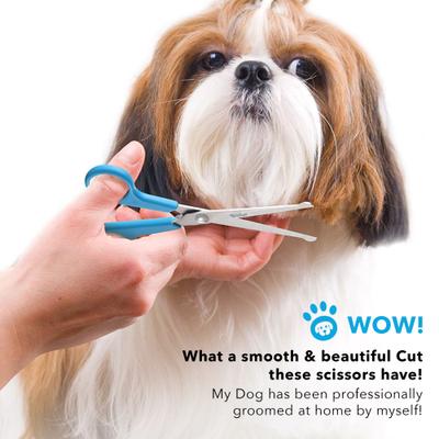 Dog Grooming Scissors Set