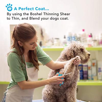 Dog Grooming Scissors Set