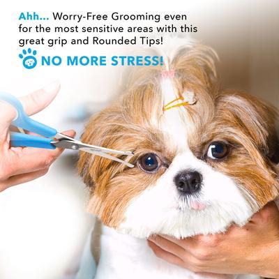 Dog Grooming Scissors Set