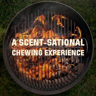 6-in Smoked Beef Trachea Dog Treat, 3 count