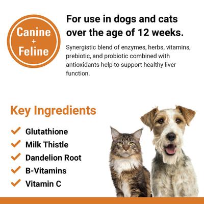 Liver Support Chewable Tablets Dog & Cat Supplement, 60 count