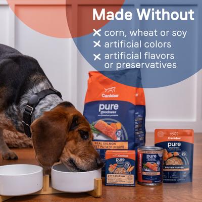 Pure Protein Wild-Caught Salmon Recipe in Gravy Grain-Free Wet Dog Food Topper, 3-oz pouch, case of 12