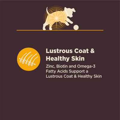 CORE Digestive Health Puppy Chicken & Brown Rice Dry Dog Food, 24-lb bag