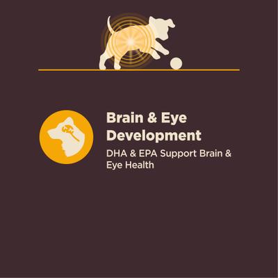 CORE Digestive Health Puppy Chicken & Brown Rice Dry Dog Food, 24-lb bag